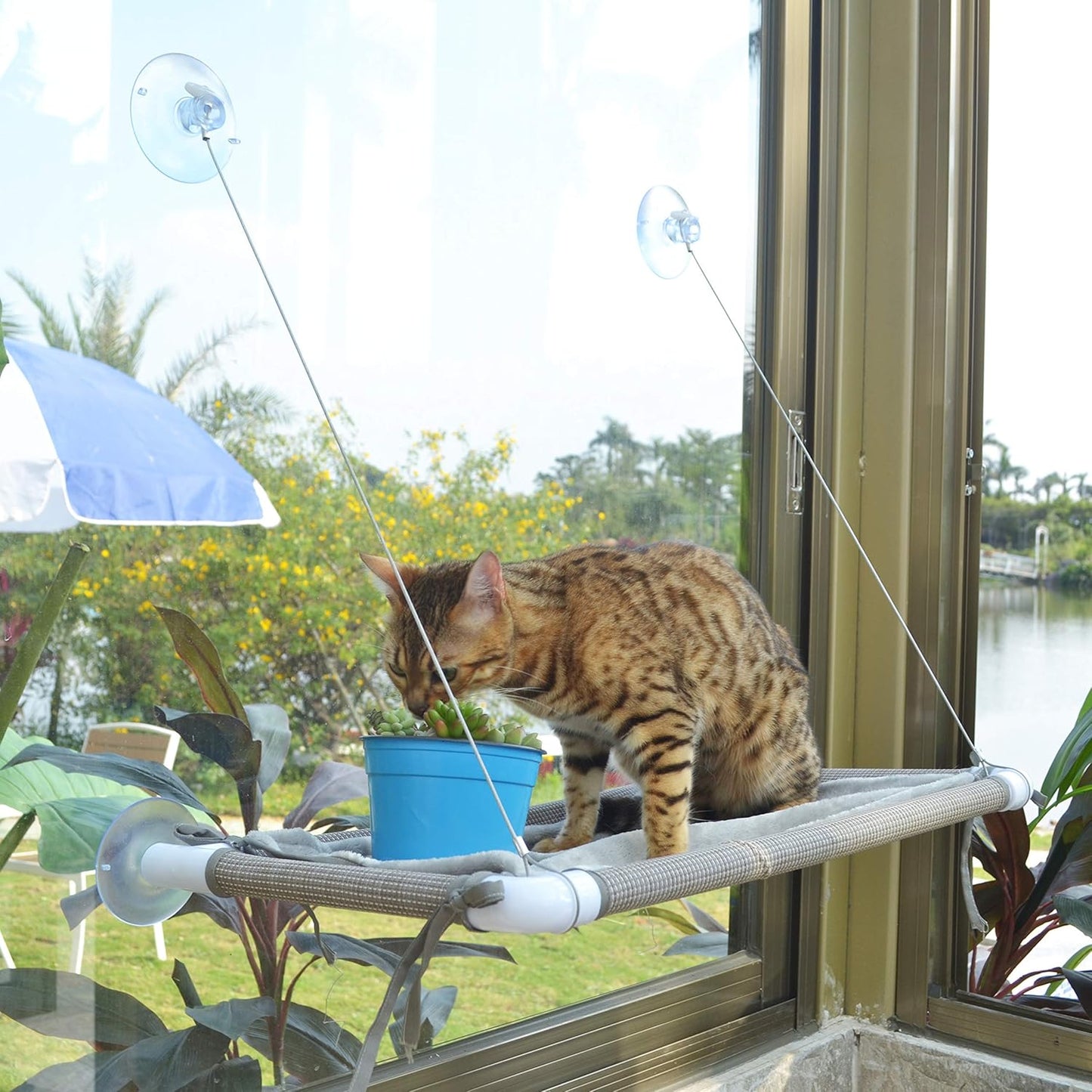 The Cat - Exclusive Hammock, a Comfortable Resting Space
