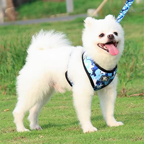 Wholesale High - Quality Dog Leash Four - Piece Sets, the First Choice for Pet Supply Stores