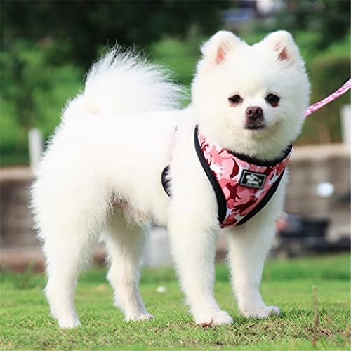 Wholesale High - Quality Dog Leash Four - Piece Sets, the First Choice for Pet Supply Stores