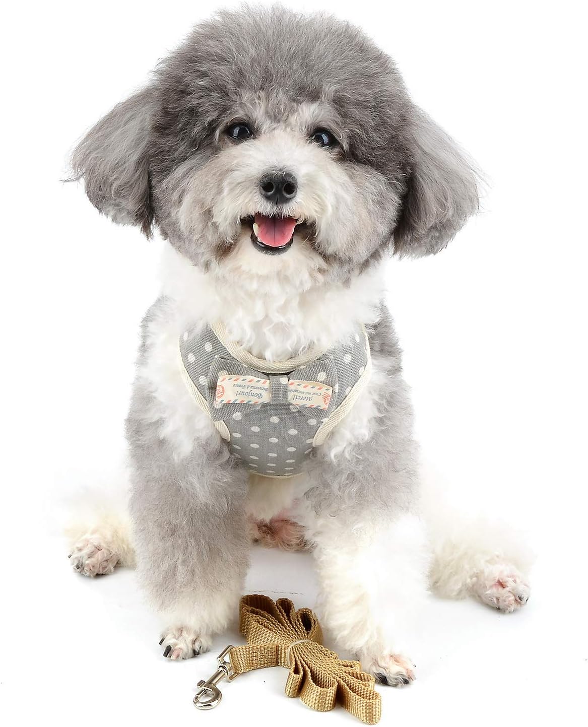 Wholesale Pet Vest and Leash Sets, Combining Comfort and Fashion