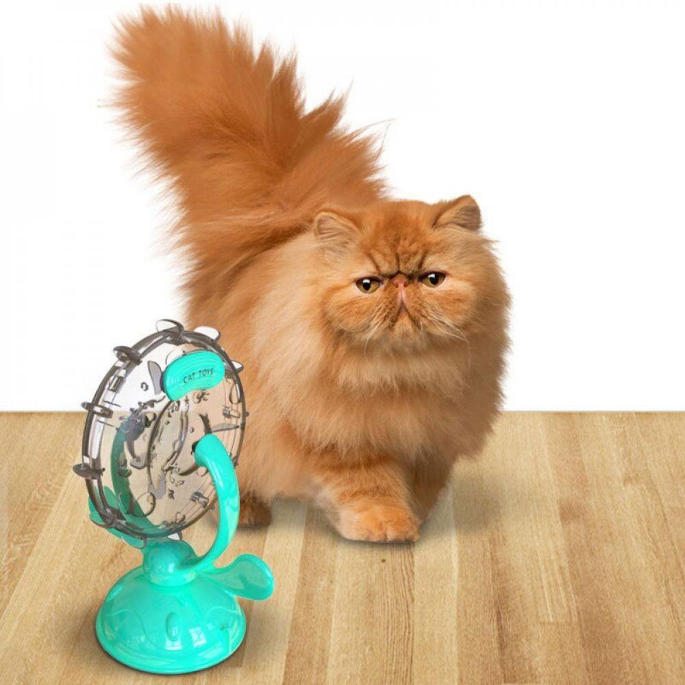 Wholesale Cat Food Dispensers, Durable and Fun - filled
