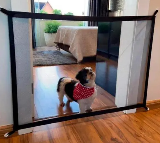 Wholesale Pet Safety Isolation Equipment, an Ideal Choice for Merchants