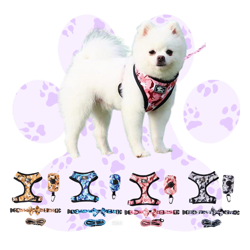 Wholesale High - Quality Dog Leash Four - Piece Sets, the First Choice for Pet Supply Stores