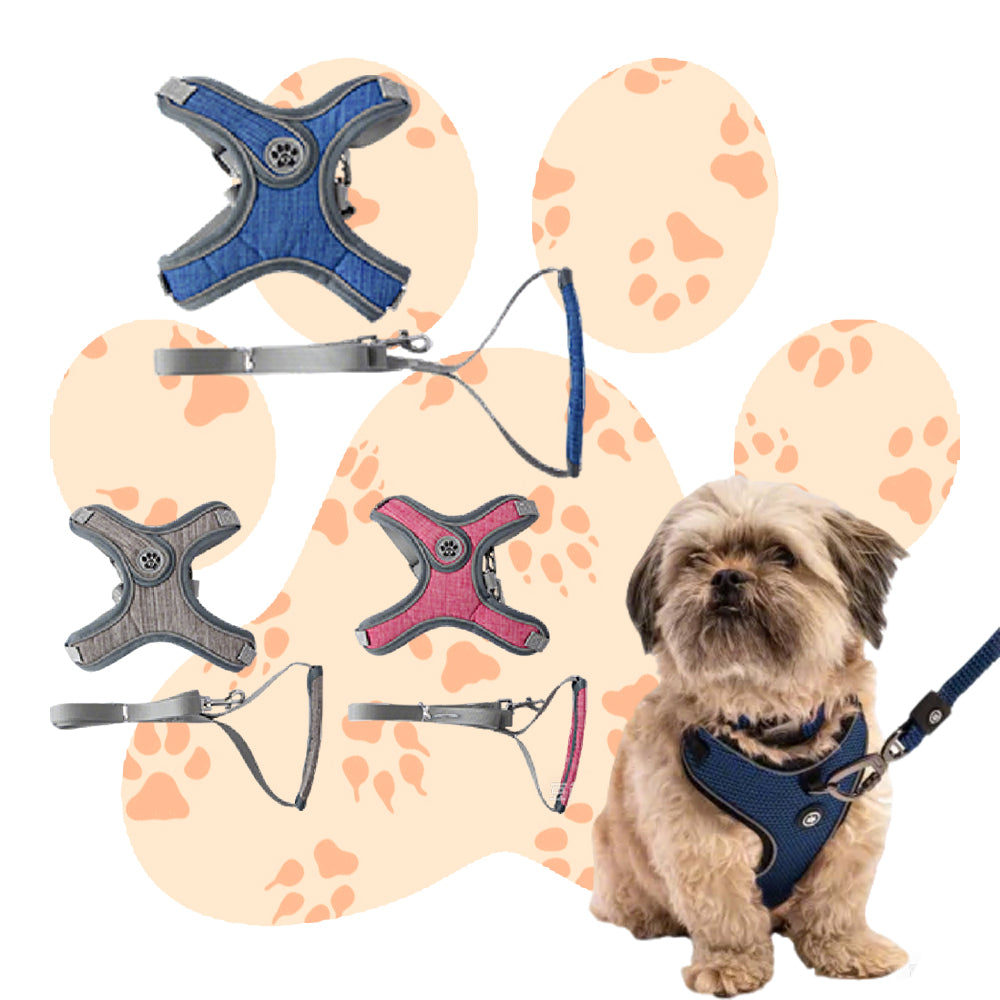 Wholesale High - Quality Harness Pet Leashes: The Best Companion for Pets on the Go