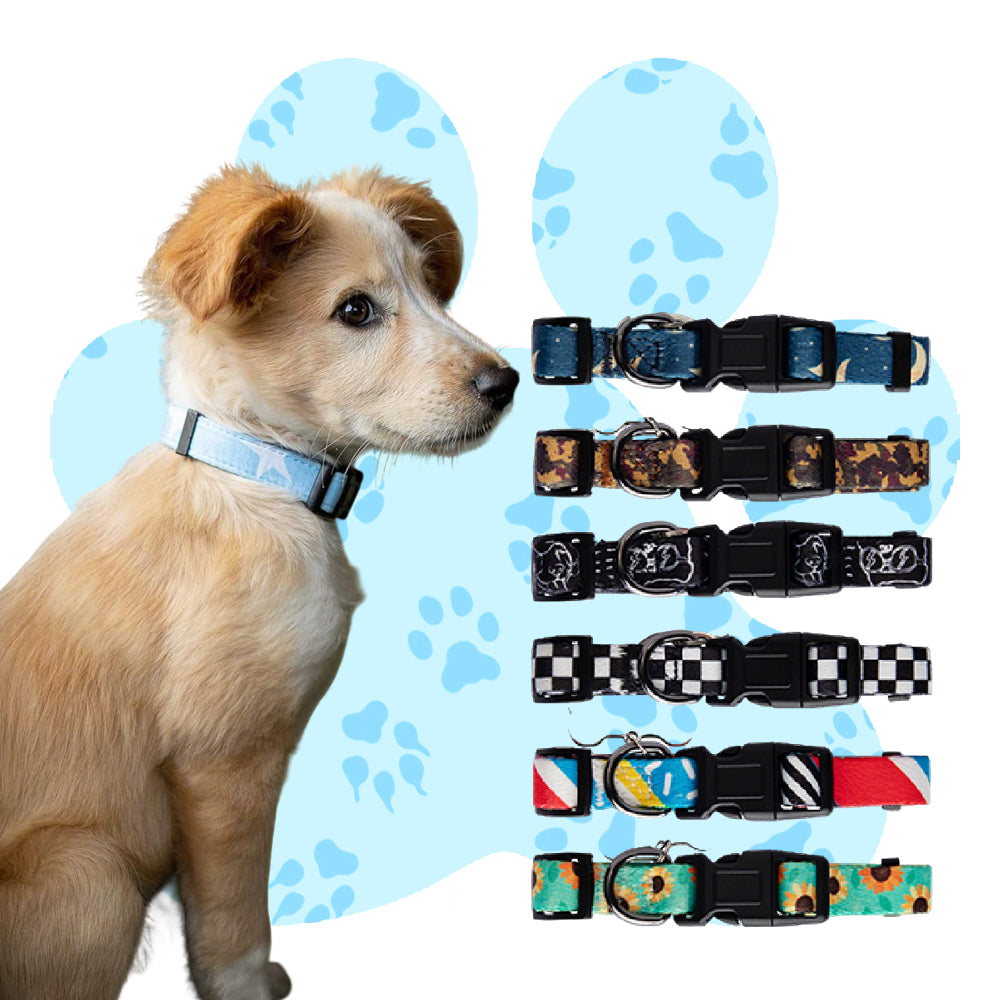 Wholesale Fashionable Dog Collars to Meet Diverse Style Requirements