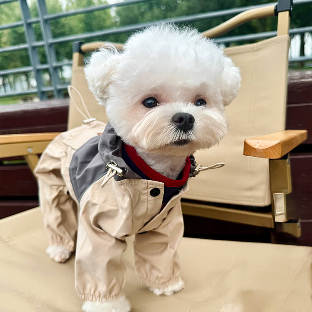 Fashion - Forward Waterproof Pet Raincoat for Small - to - Medium - Sized Dogs
