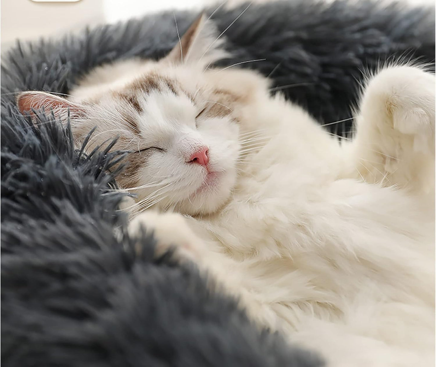 Fashion and Comfort Combined - Multi - colored Plush Pet Beds