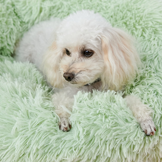 Fashion and Comfort Combined - Multi - colored Plush Pet Beds