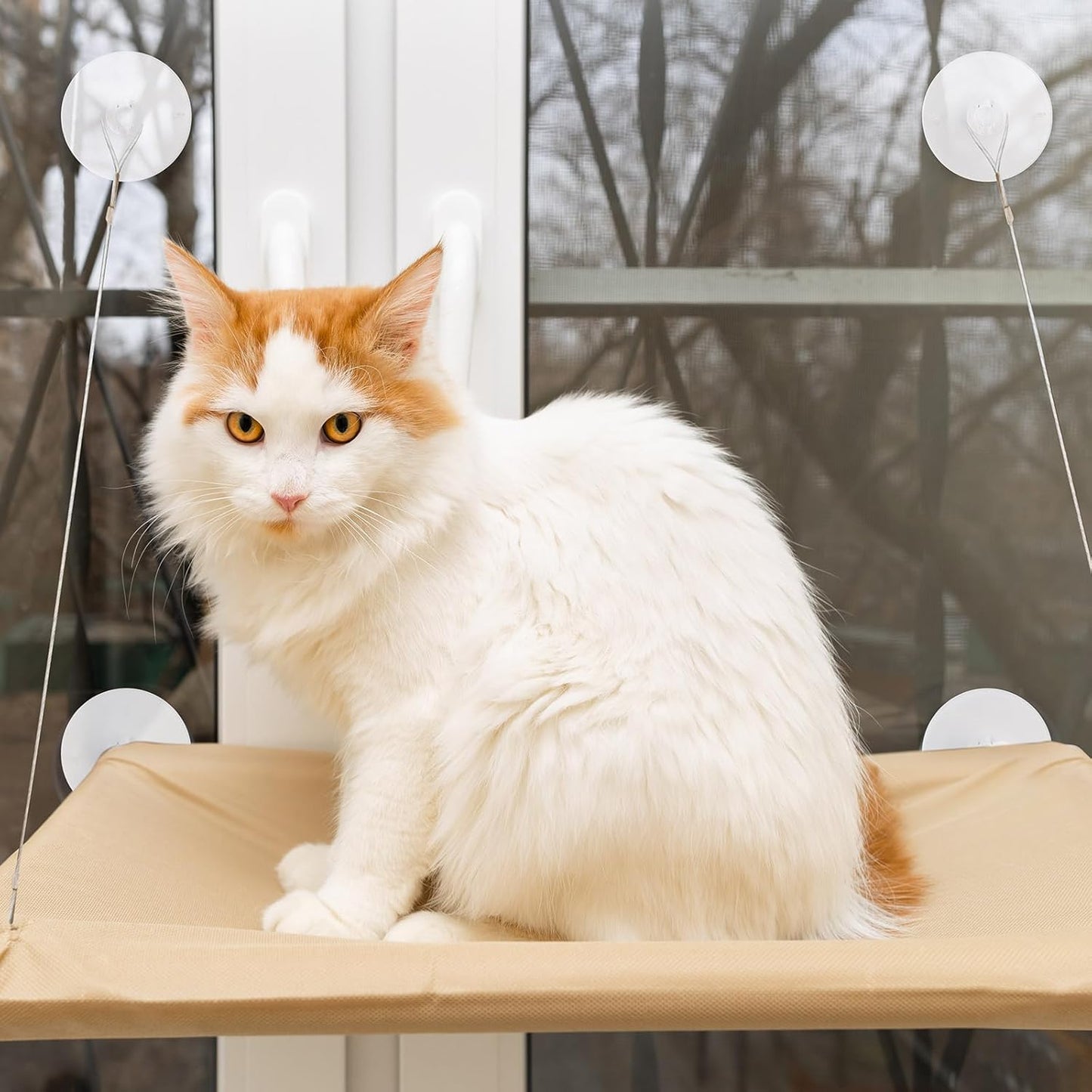 The Cat - Exclusive Hammock, a Comfortable Resting Space