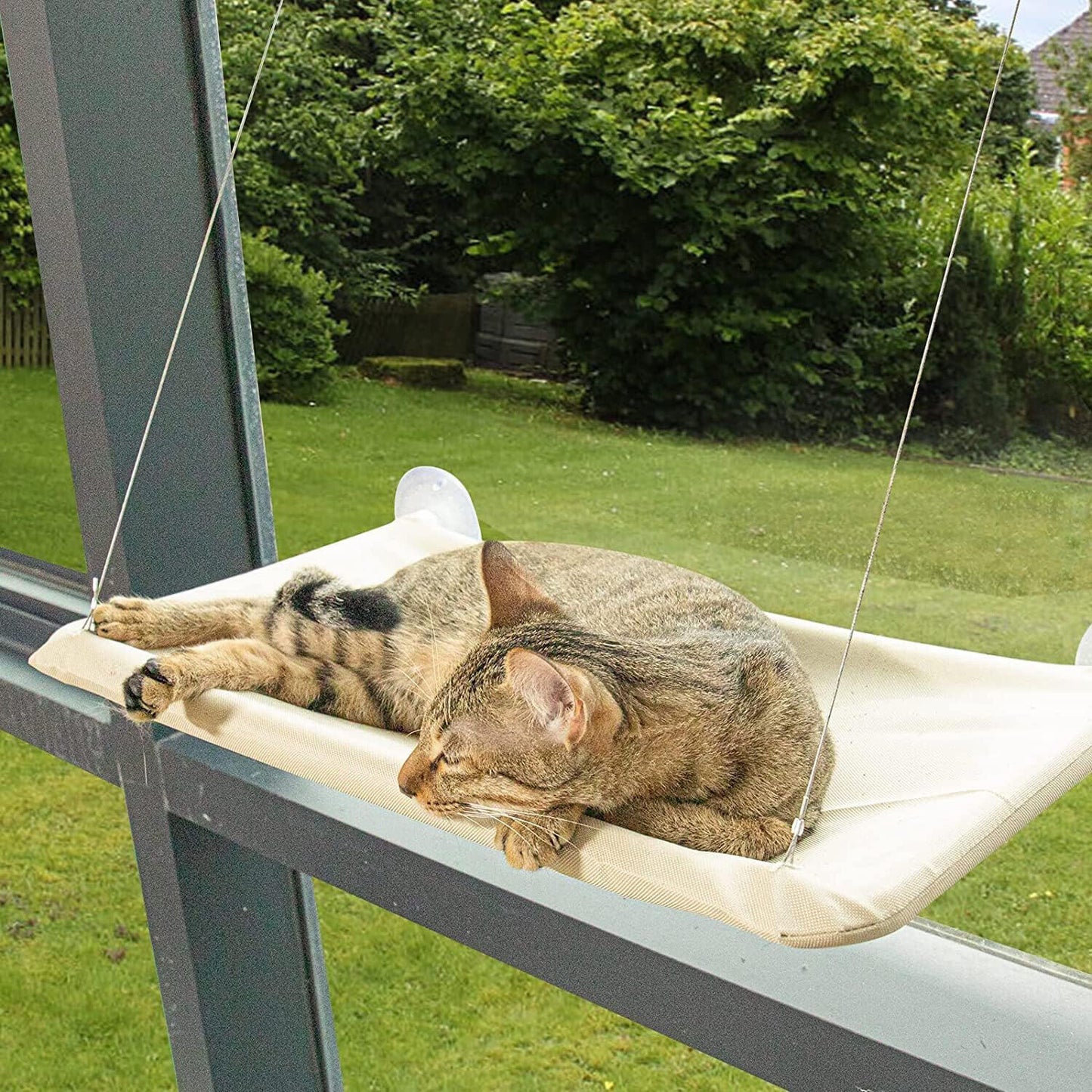 The Cat - Exclusive Hammock, a Comfortable Resting Space