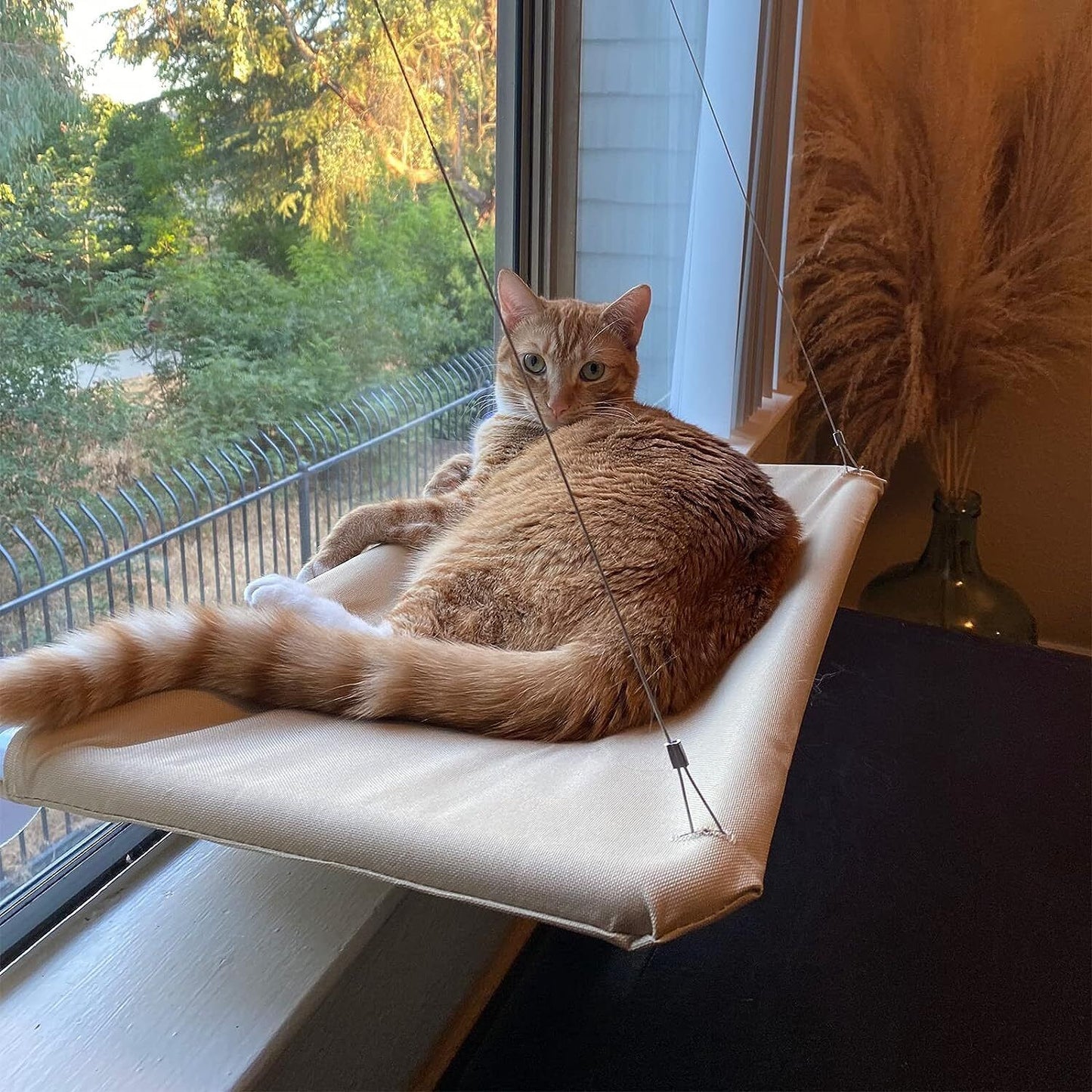 The Cat - Exclusive Hammock, a Comfortable Resting Space