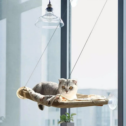 The Cat - Exclusive Hammock, a Comfortable Resting Space