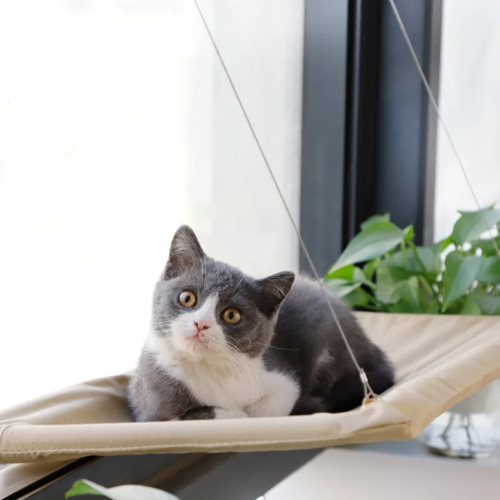 The Cat - Exclusive Hammock, a Comfortable Resting Space