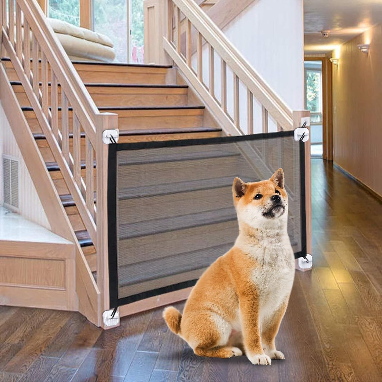 Wholesale Pet Safety Isolation Equipment, an Ideal Choice for Merchants