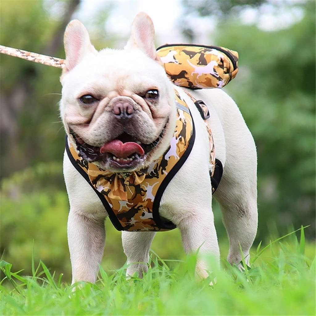 Wholesale High - Quality Dog Leash Four - Piece Sets, the First Choice for Pet Supply Stores
