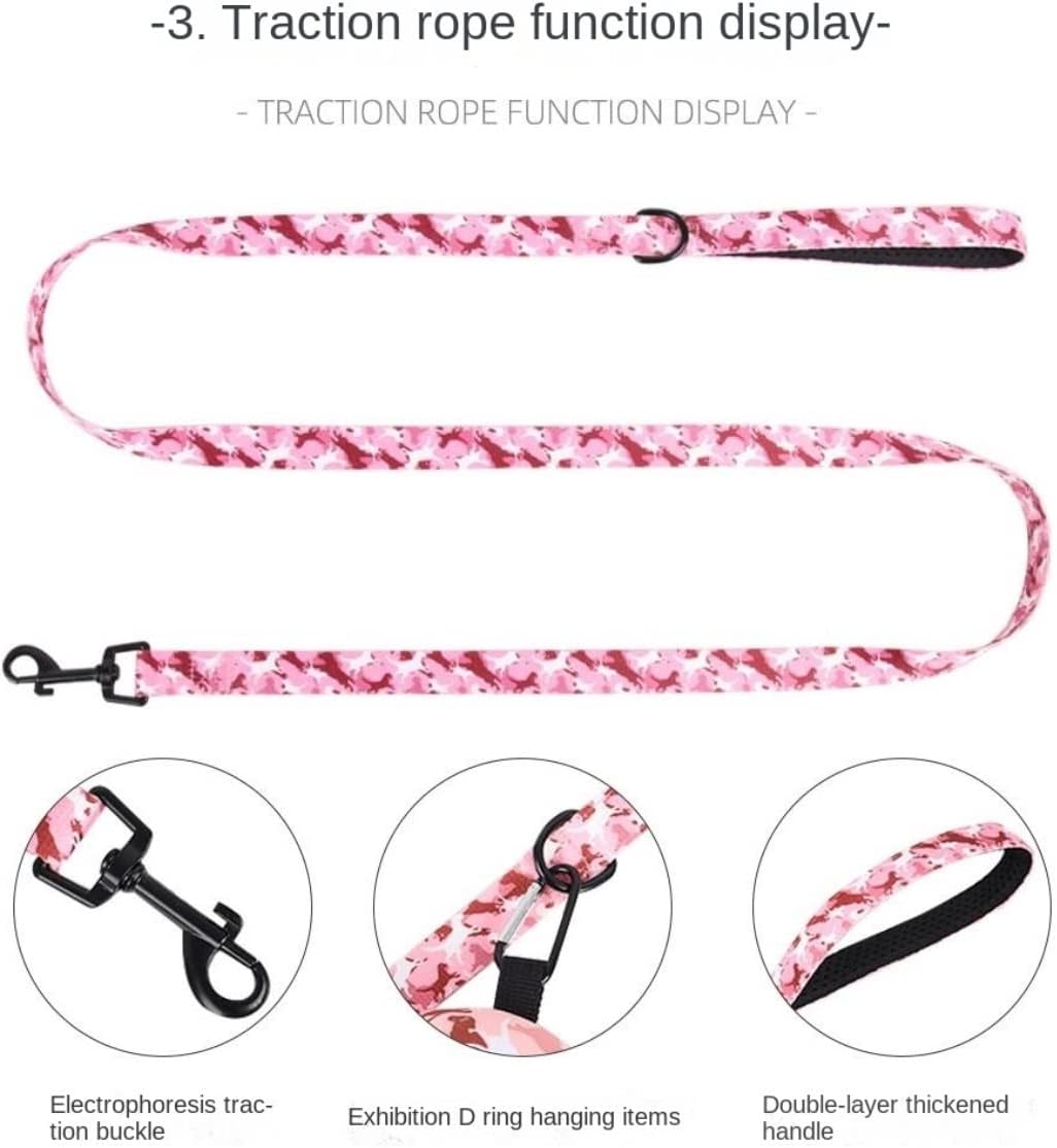 Wholesale High - Quality Dog Leash Four - Piece Sets, the First Choice for Pet Supply Stores