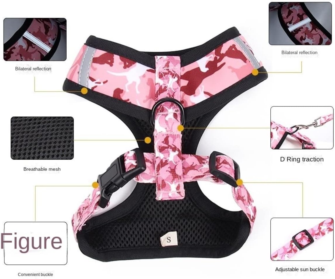 Wholesale High - Quality Dog Leash Four - Piece Sets, the First Choice for Pet Supply Stores