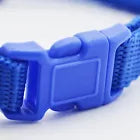 Only20.4USD for 12pcs!Wholesale Cute Pet Collars, Enjoy High - quality Goods at Low Prices