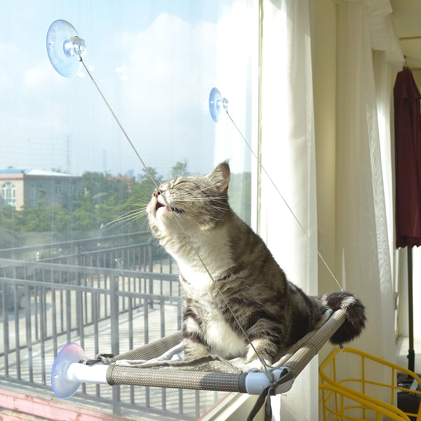 The Cat - Exclusive Hammock, a Comfortable Resting Space