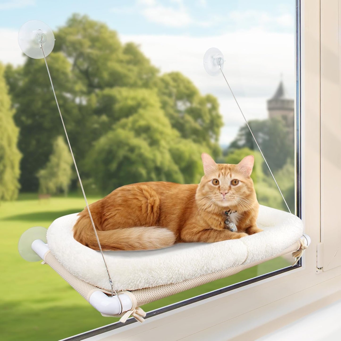 The Cat - Exclusive Hammock, a Comfortable Resting Space