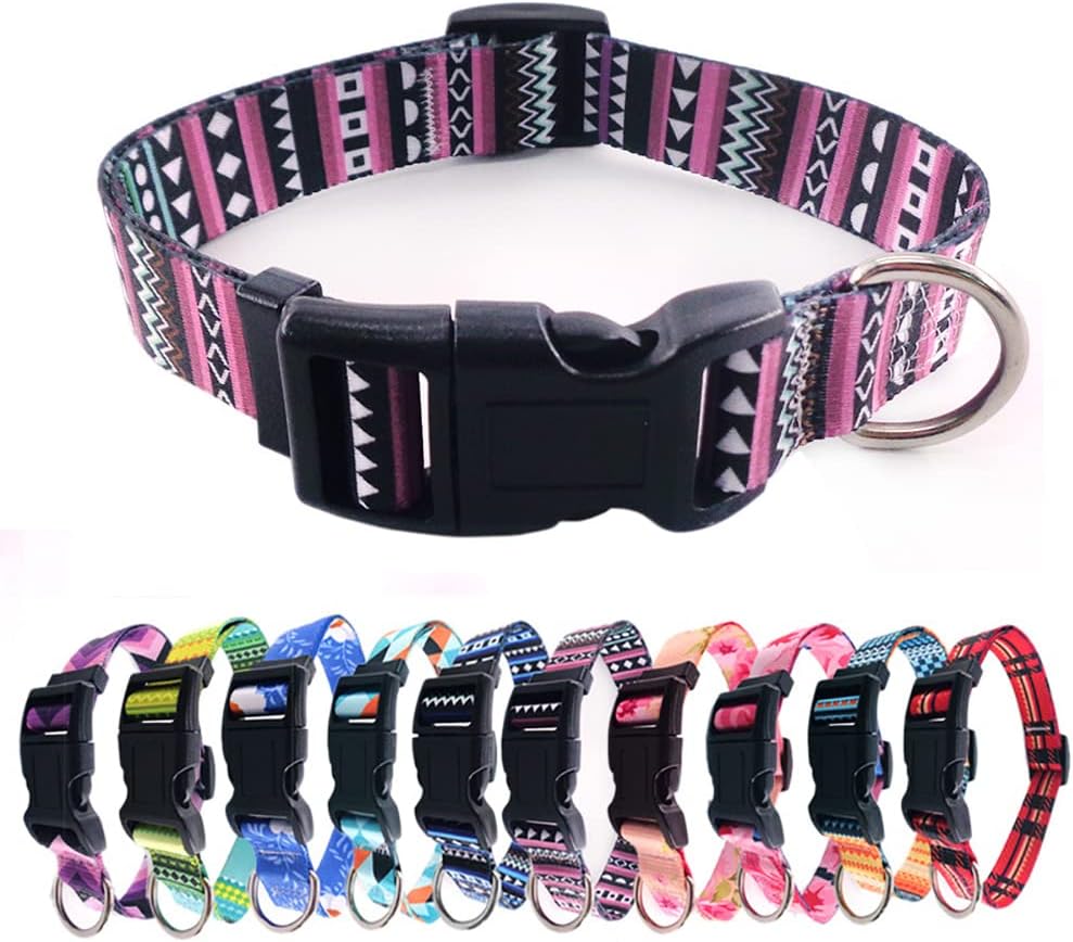 Wholesale Fashionable Dog Collars to Meet Diverse Style Requirements