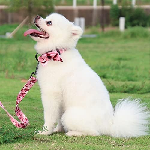 Conjuntos de quatro peças de coleira para cães de alta qualidade por atacado, a primeira escolha para lojas de suprimentos para animais de estimação