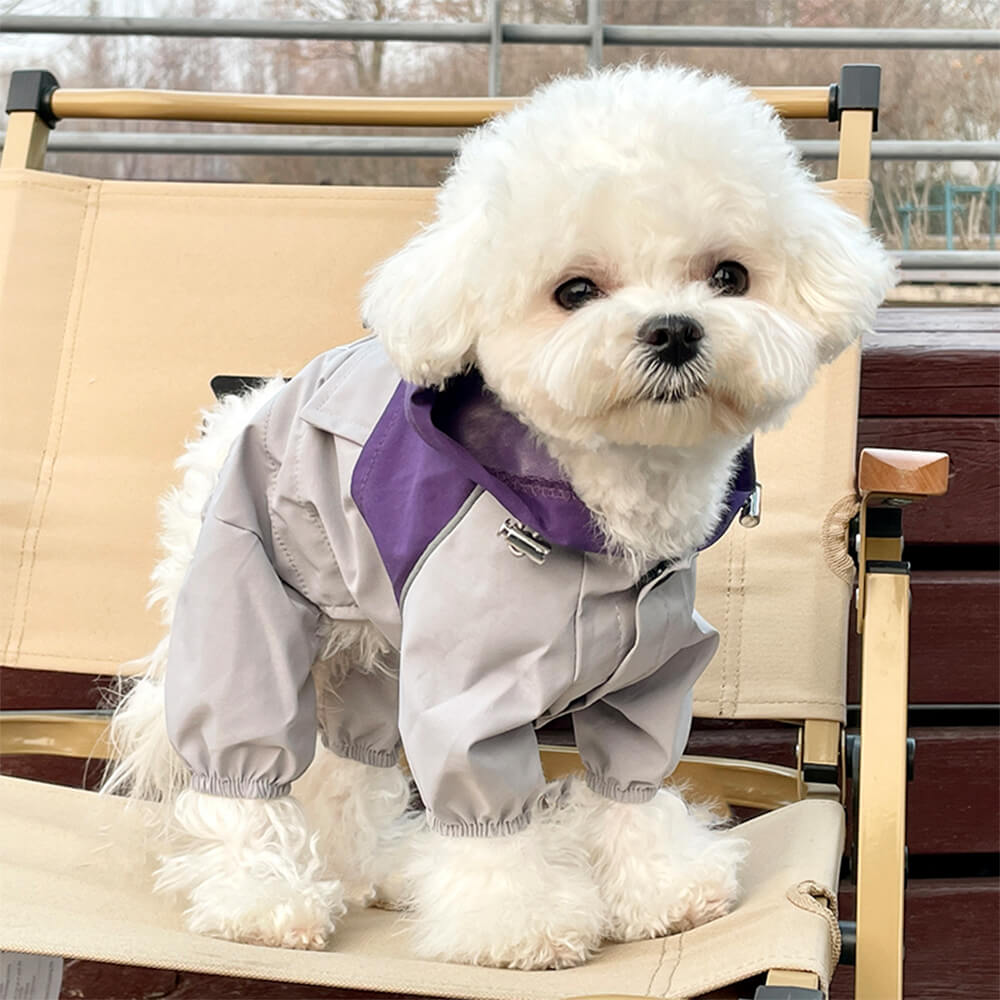 Moda - Forward Capa de chuva impermeável para animais de estimação para cães de pequeno a médio porte