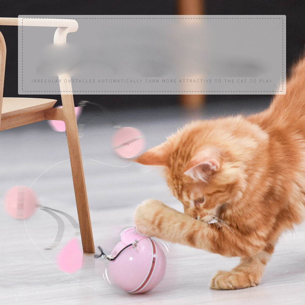 Wholesale Smart USB-charged Cat Toy Balls with LED Lights