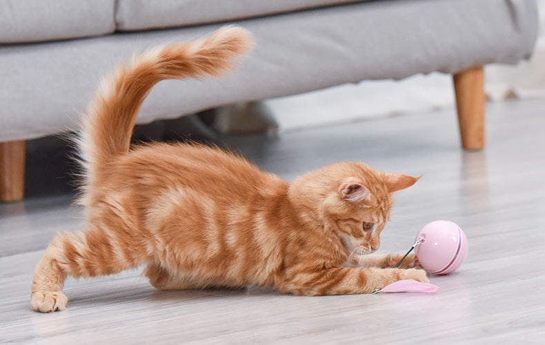 Wholesale Smart USB-charged Cat Toy Balls with LED Lights