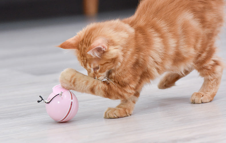 Wholesale Smart USB-charged Cat Toy Balls with LED Lights