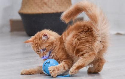 Wholesale Smart USB-charged Cat Toy Balls with LED Lights