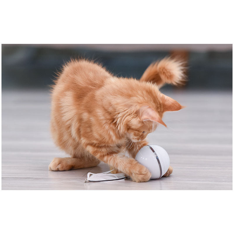 Wholesale Smart USB-charged Cat Toy Balls with LED Lights