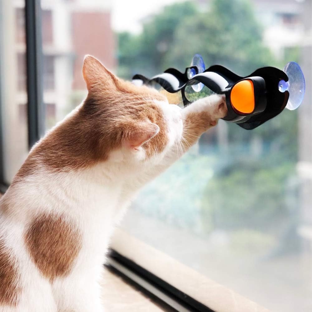 Wholesale Cat Window Track Toys, Stimulate Cats' Hunting Instincts